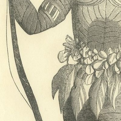 Native of Massacre Island, Antique Wahlen Costume Print, 1843-1844, close-up 3