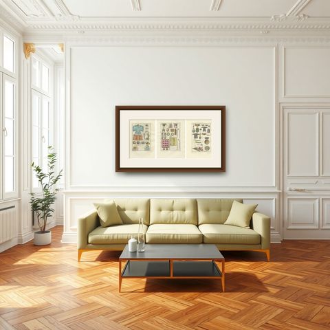 Set of Three Antique East Asian Costume & Arms Plates, Ferrario, 1815, shown framed in a room