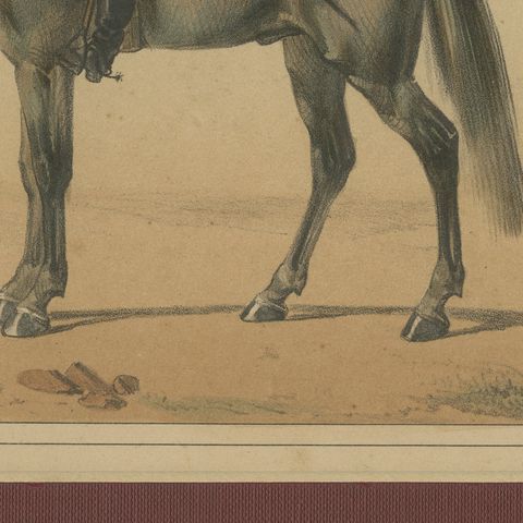 Spanish Cavalry Lithograph by José Villegas: Historic Officers, 1861, close-up 4