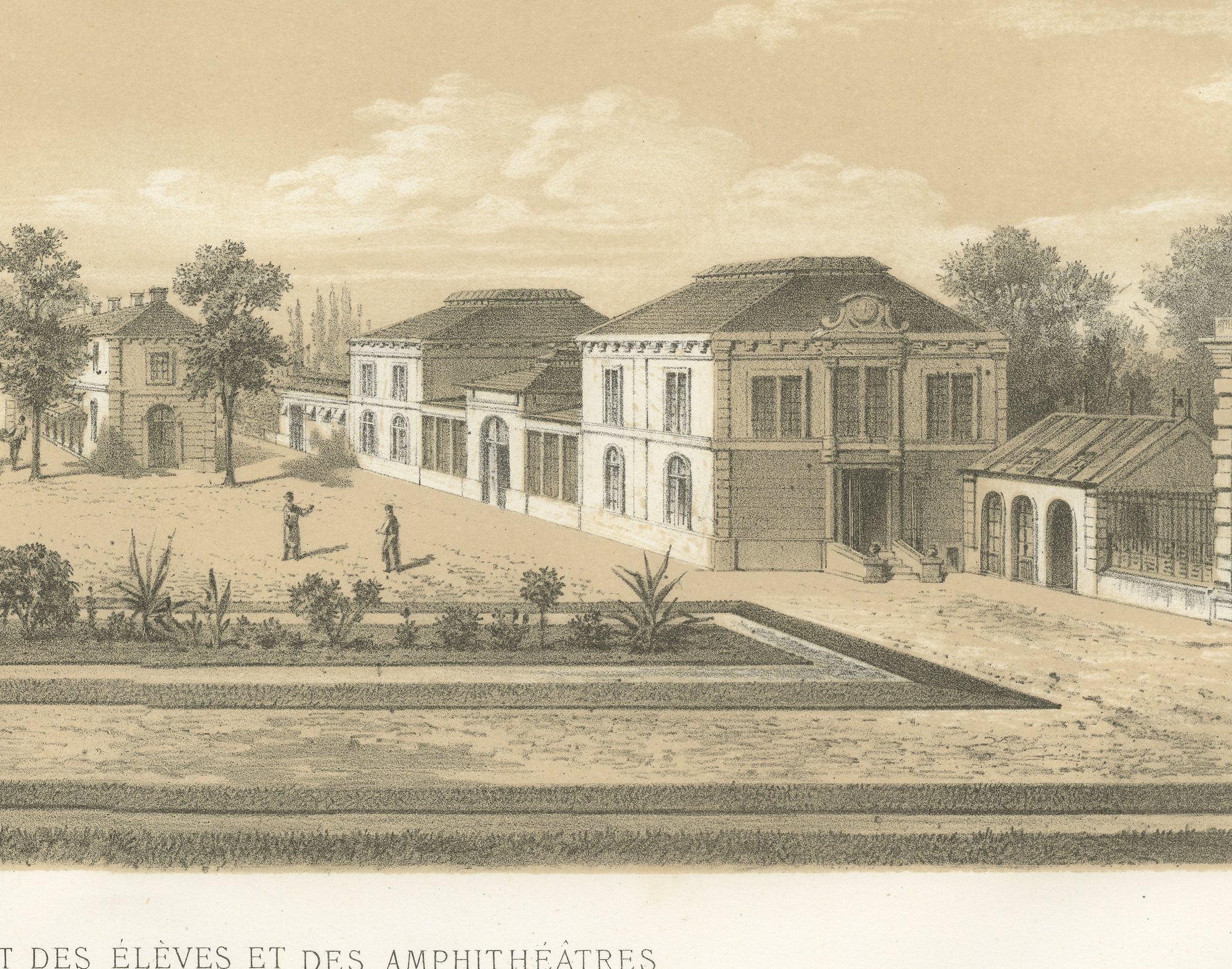 Alfort Veterinary School, Antique French Veterinary Print, 1873, view 5