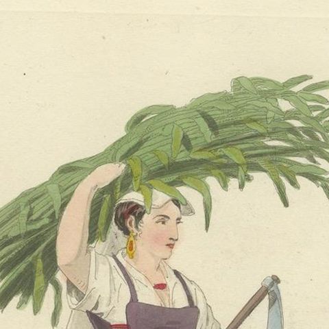 Costume Print: Female of Civita Castellana, 1820 Hand-Colored Engraving, close-up 5