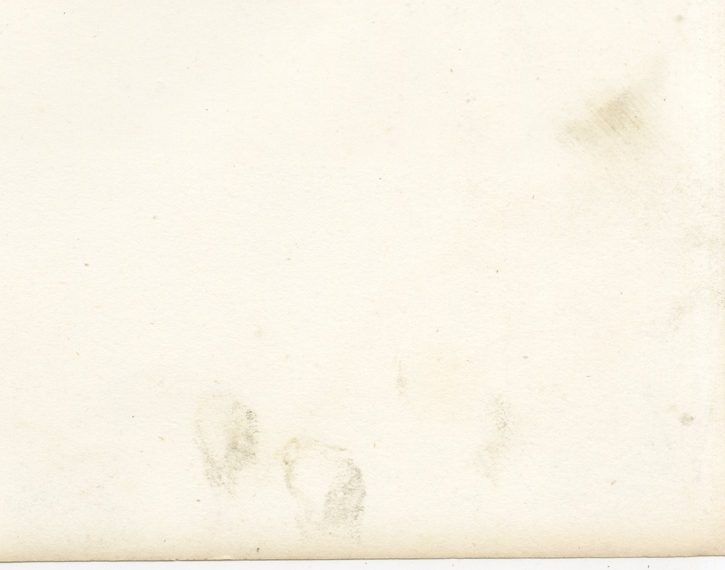 Alfort Veterinary School, Antique French Veterinary Print, 1873, view 9