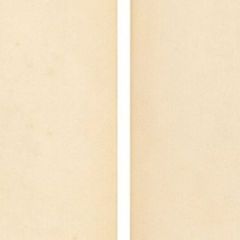 Venetian Nobleman and Noblewoman Costume Prints, Camille Bonnard, 1845, close-up 2