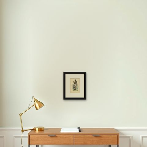 Antique Costume Print of a Pampas Woman by Wahlen, 1843, shown framed on a wall