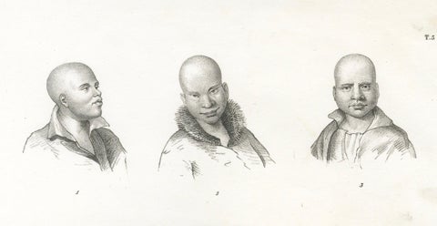Portrait Study of Indigenous People of New Holland (modern-day Australia), 1836, close-up 4