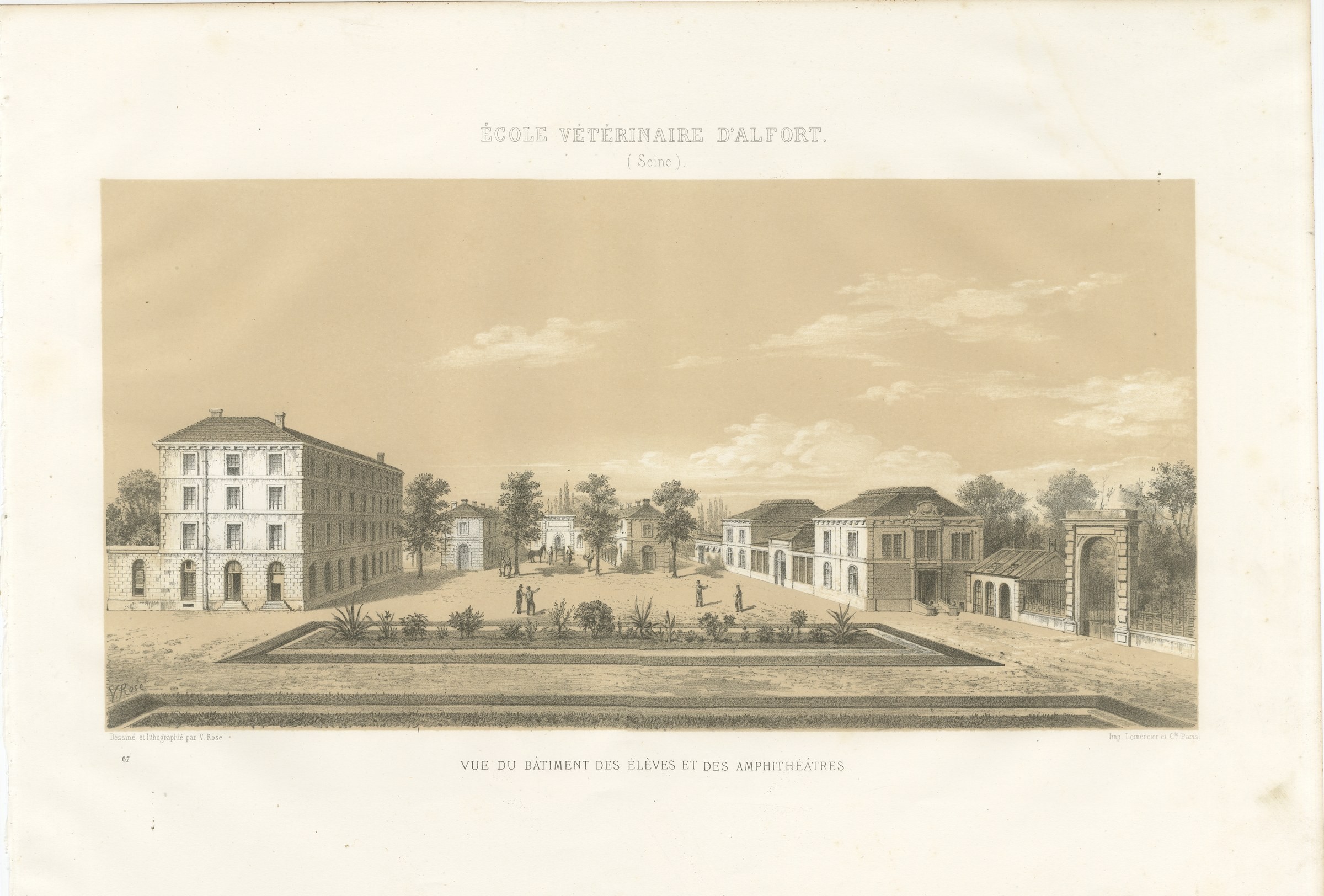 Alfort Veterinary School, Antique French Veterinary Print, 1873