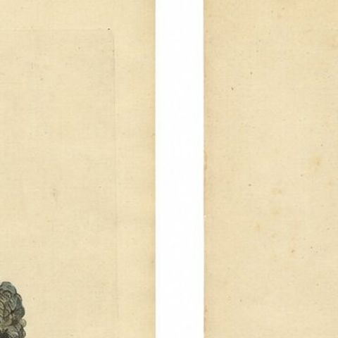 Bologna Renaissance Costume Engravings, Hand-Colored Italian Fashion Pair, 1749, close-up 1