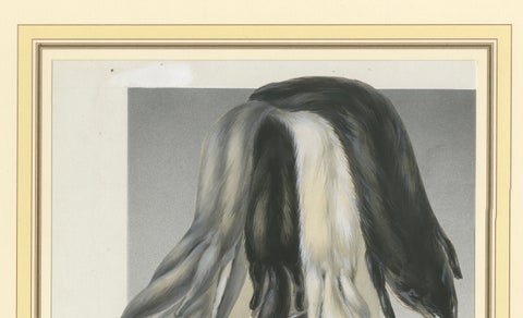 French Art Nouveau Fashion Design of Fur Pelts and Trimmings, c.1910, close-up 4