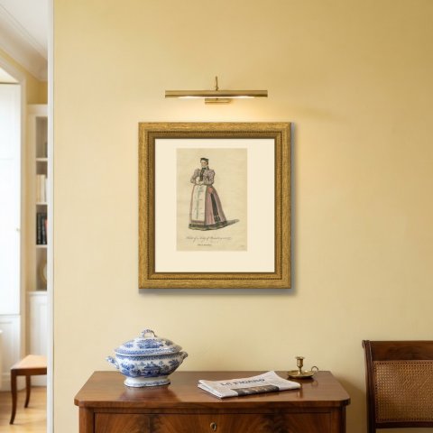 Lady of Nuremberg in Flowered Bodice and Pink Skirt, Costume of 1577, 1757, shown framed on a wall