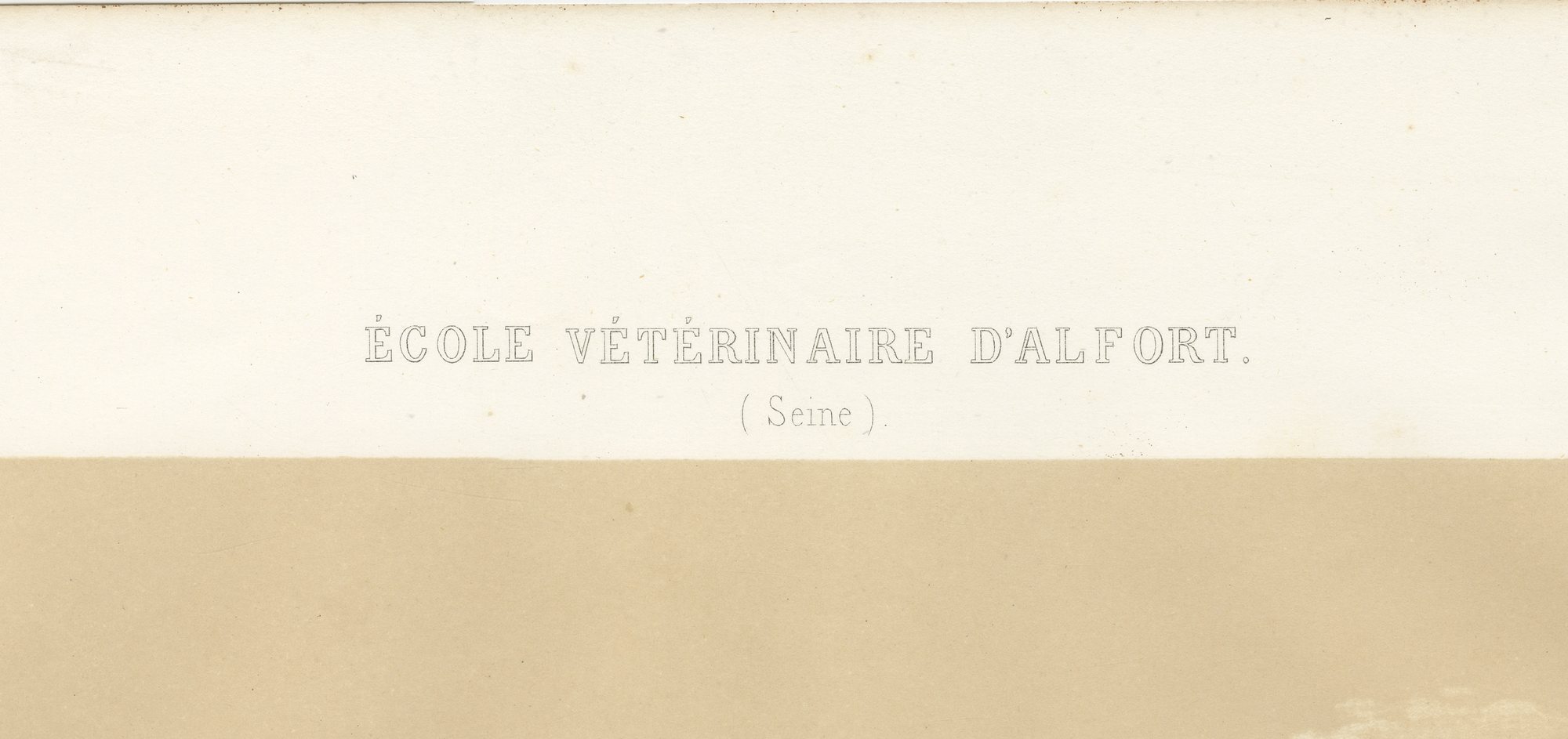 Alfort Veterinary School, Antique French Veterinary Print, 1873, view 3
