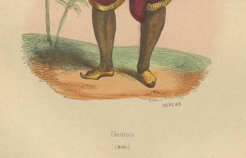 Traditional Siamese Attire: A 19th Century Ethnographic Portrait from Thailand, close-up 1