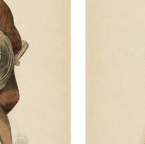 Japanese Nobleman & Samurai Court Dress Costume Lithographs, 1852, close-up 2