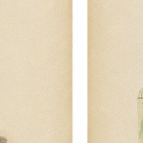Antique Persian Costume Prints, Hand-Colored Orientalist Lithographs, 1852, close-up 2