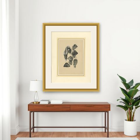 French Art Nouveau Fashion Design of Fur Collars and Stoles, c.1910, shown framed on a wall