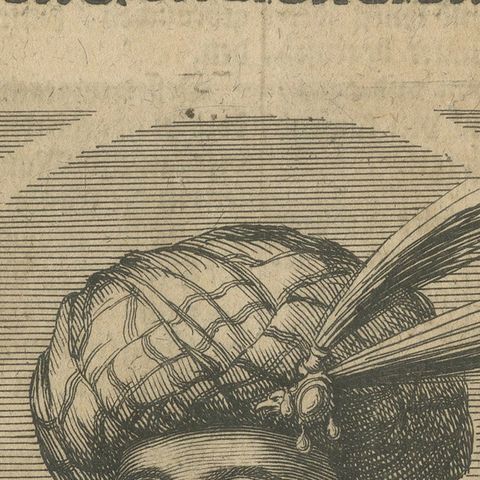1687 Portrait of Assan Aga by E. Nessenthaler: A Glimpse into Ottoman Nobility, close-up 5