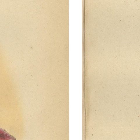 Exquisite 1844 Handcoloured Lithographs of Noble Birmans from Myanmar, close-up 6