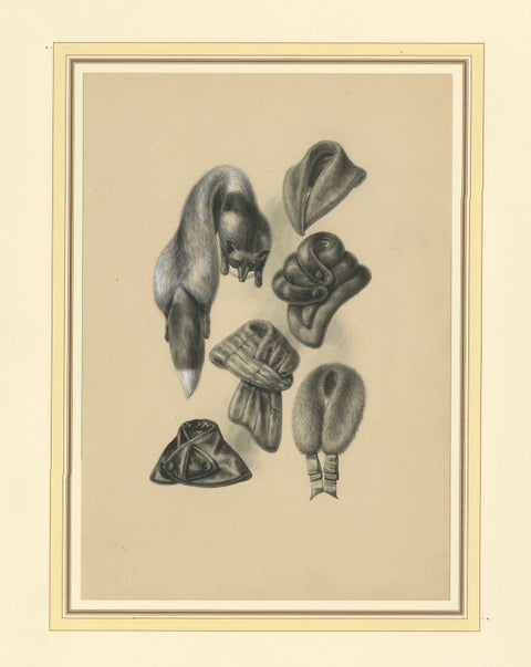 French Art Nouveau Fashion Design of Fur Collars and Stoles, c.1910, close-up 1