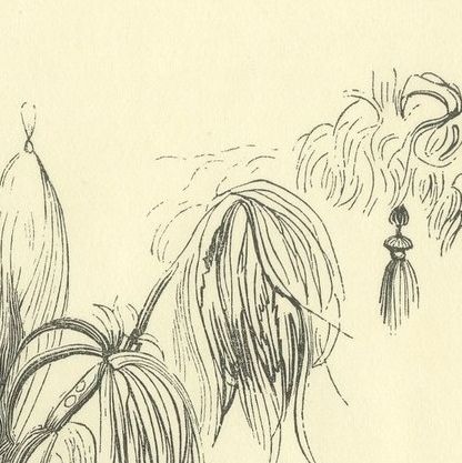 Warrior of the Island of Solor, Antique Wahlen Costume Print, 1843-1844, close-up 2