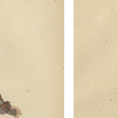 Yakut People in Traditional Attire, 1844 Handcolored Lithographs, close-up 5