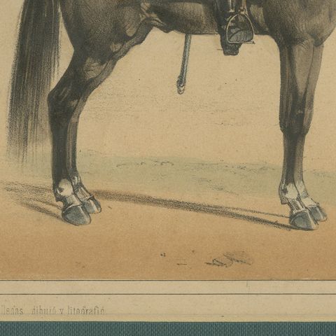 Spanish Cavalry Lithograph by José Villegas: Dragoon and Hussar, 1861, close-up 4