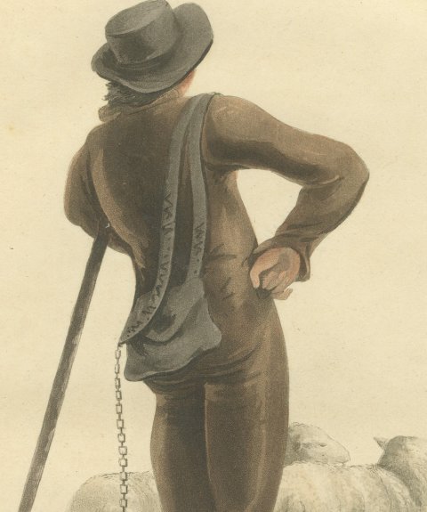 Shepherd near Valenciennes with his Flock, Antique Ackermann Print, 1817, close-up 1