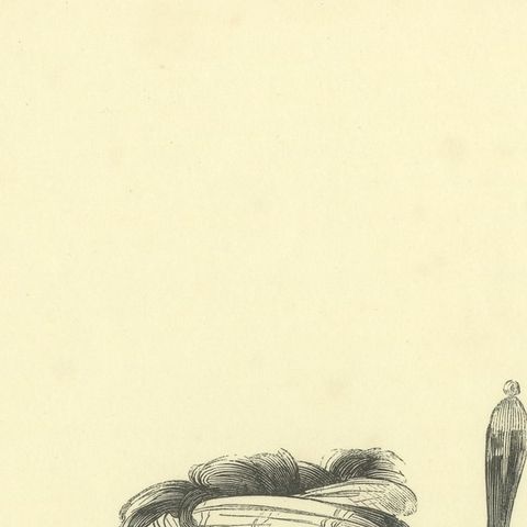 Rajah of Dao, Antique Wahlen Costume Print, 1843-1844, close-up 2