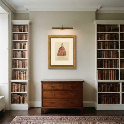 Lady in the Court of Queen Elizabeth in 1559, Jefferys Costume Plate, 1757, shown framed in a room
