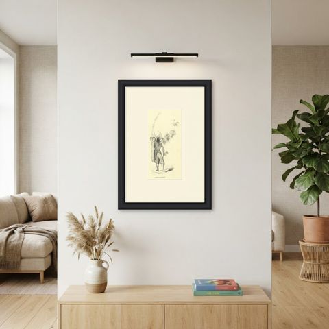 Warrior of the Island of Solor, Antique Wahlen Costume Print, 1843-1844, shown framed on a wall