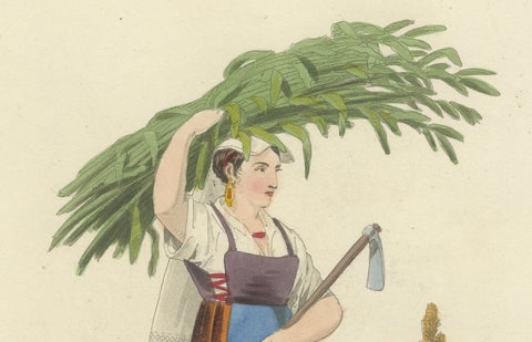 Costume Print: Female of Civita Castellana, 1820 Hand-Colored Engraving, close-up 3