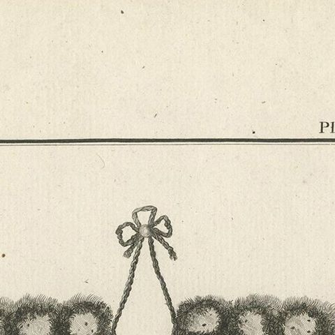 Antique Print Depicting Part of a Native Costume by Cook, 1803, close-up 1