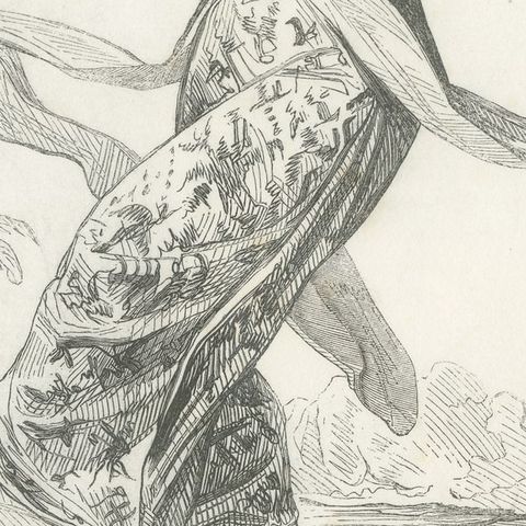 Female Dancer in Java, Antique Wahlen Costume Print, 1843-1844, close-up 3