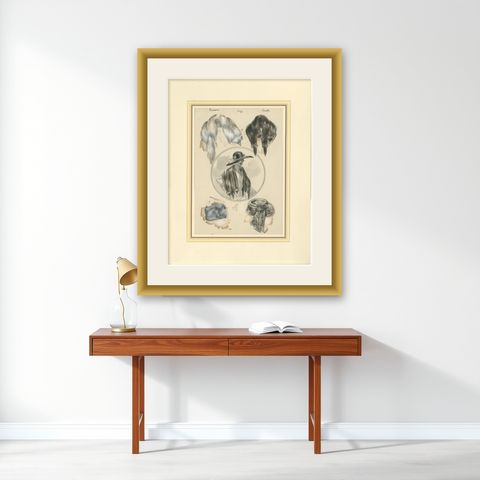 French Art Nouveau Fashion Design with Fur Stoles and Elegant Lady, c.1910, shown framed on a wall