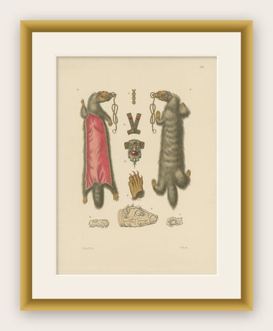 Antique Print of Ladies Jewelry with Fur of a Marten by Hefner-Alteneck, '1890', shown framed