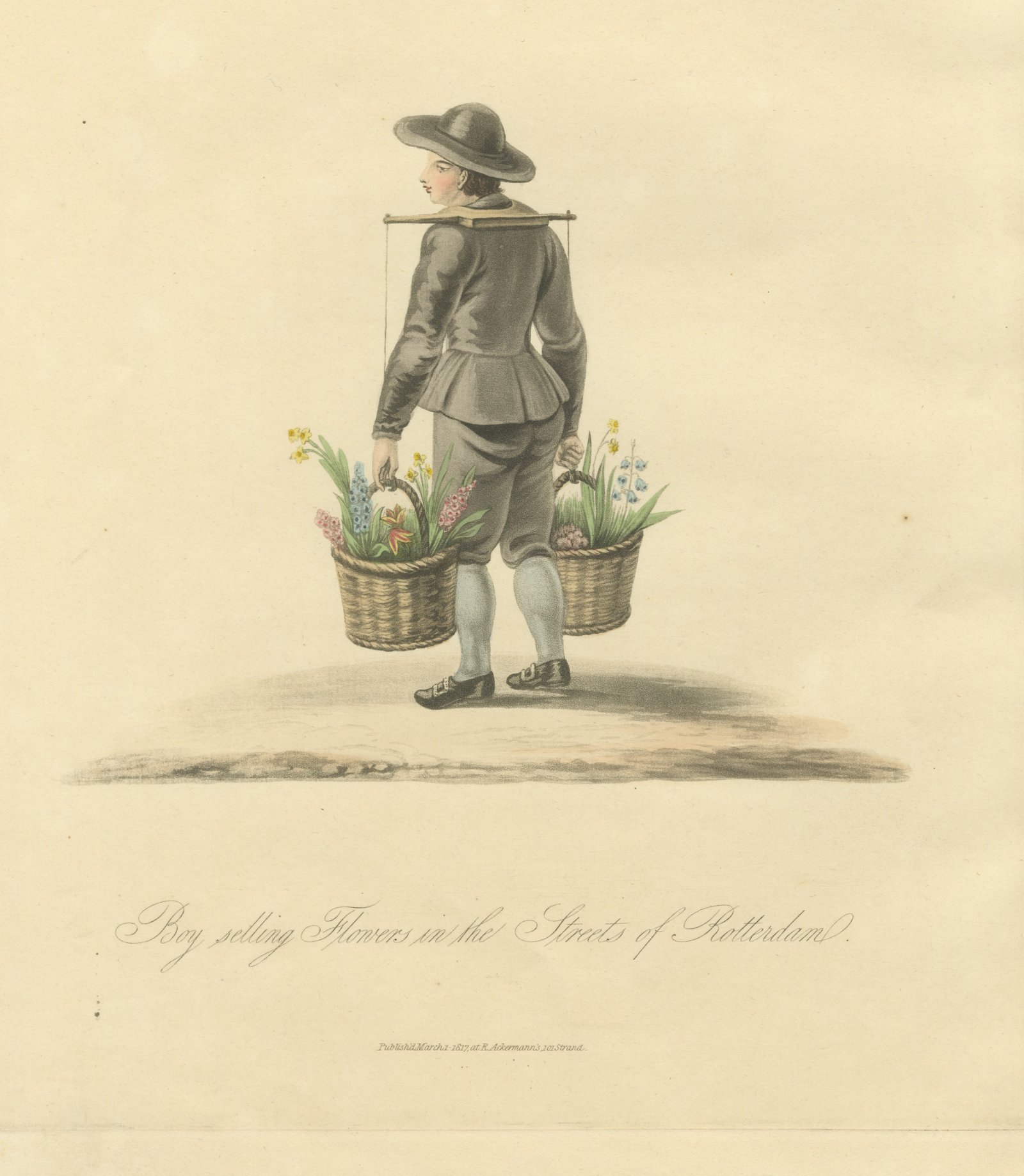 Boy selling Flowers in Rotterdam, Daffodil Baskets, Antique Print, 1817