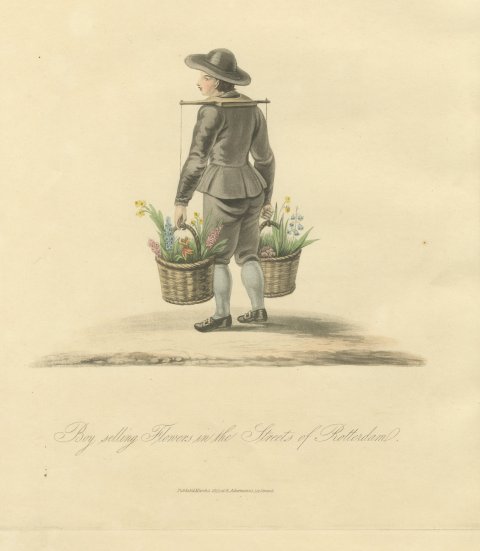 Boy selling Flowers in Rotterdam, Daffodil Baskets, Antique Print, 1817